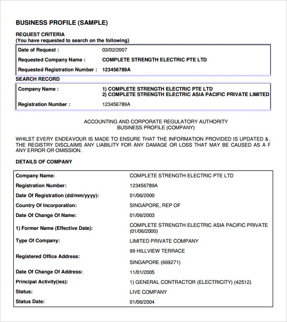 business profile example