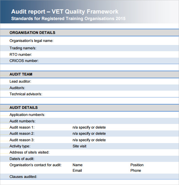 audit report pdf