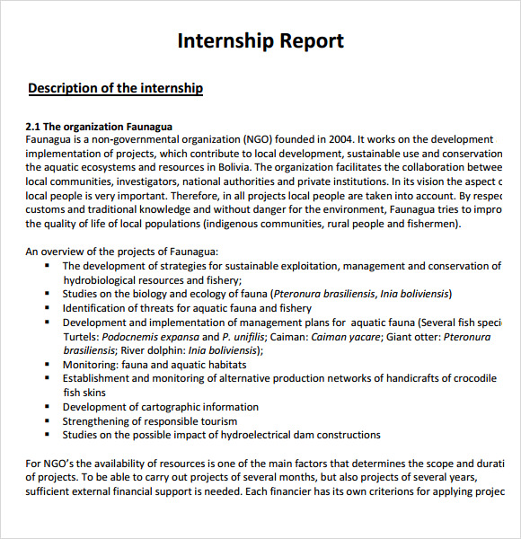 internship report format