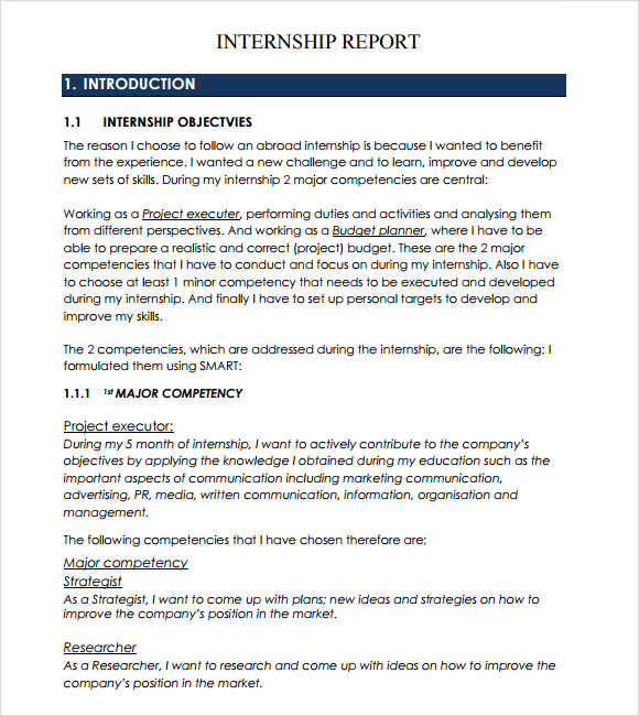 internship report example