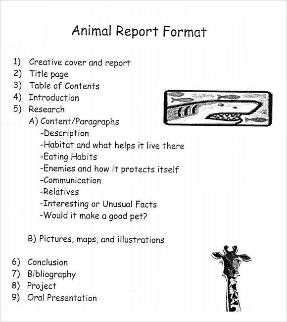 animal report template pdf