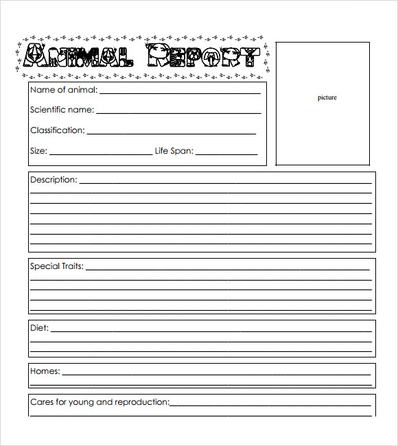 animal report template free