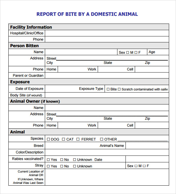 free printable animal report template
