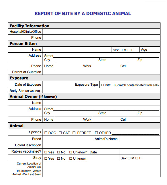 Animal Report Template