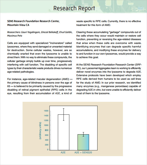 research report format pdf