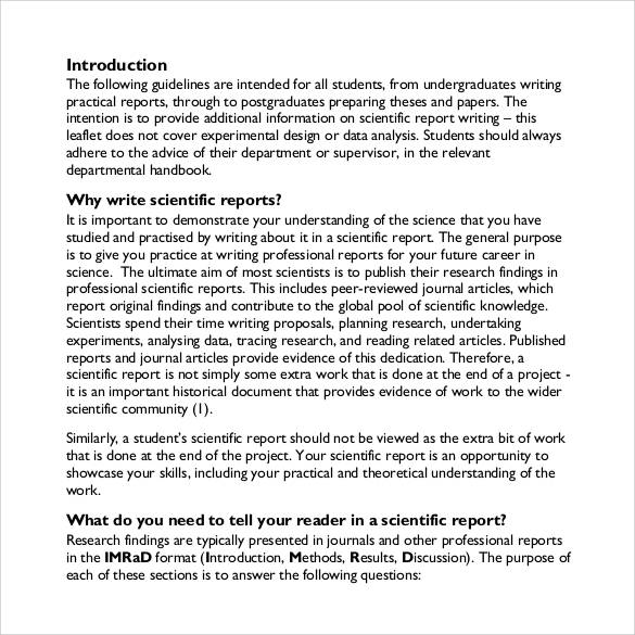 report example essay