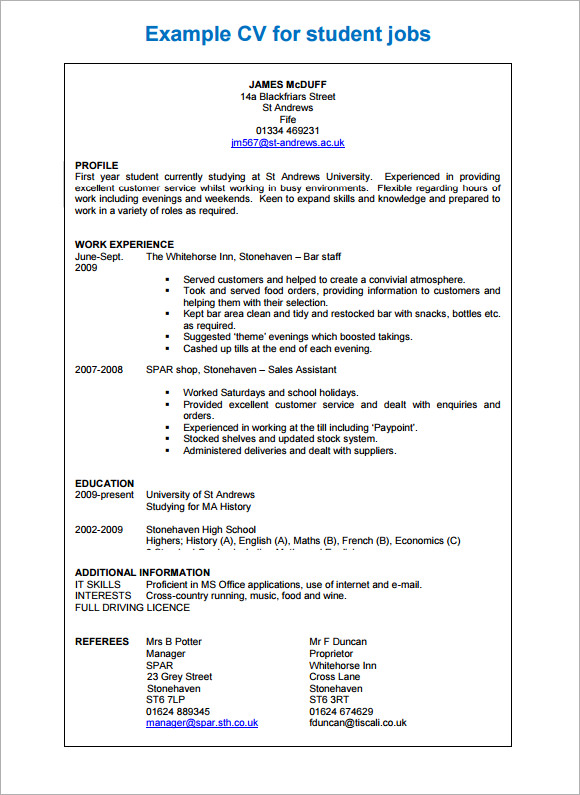 Sample Professional CV - 8+ Download Free Documents in PDF 