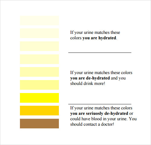 normal urine color chart template