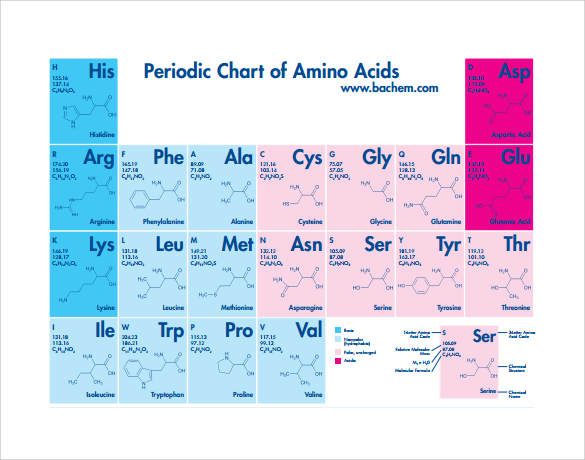 periodic chart of amino acid