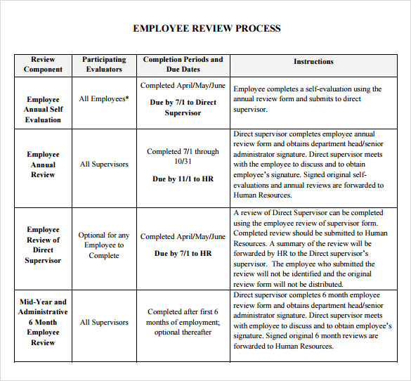 Performance Review Process Example