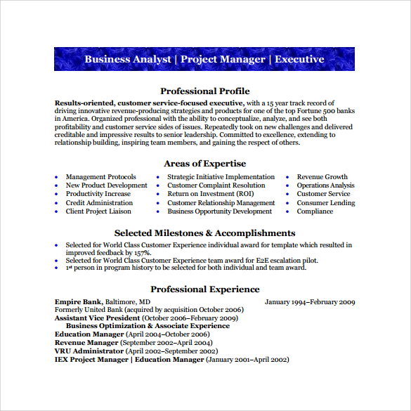 Sample Business Analyst Resume 8 Documents In PDF Word