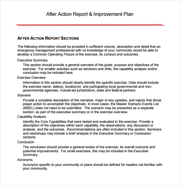 Simple After Action Report Template