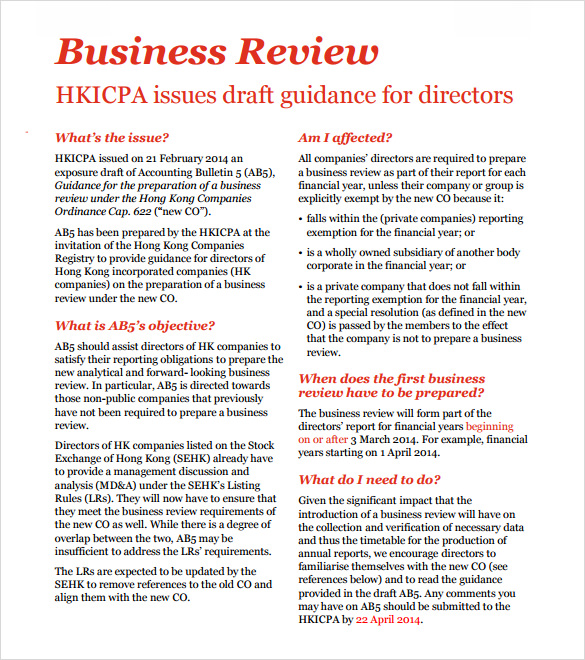 business plan review report