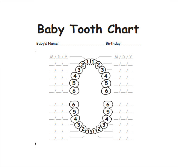 Primary Teeth Chart