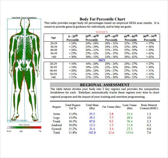 FREE 7+ Sample Body Fat Percentage Chart Templates in PDF MS Word