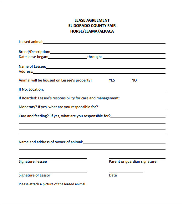 Horse Trial Agreement Template PDF Template