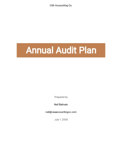 annual audit plan template