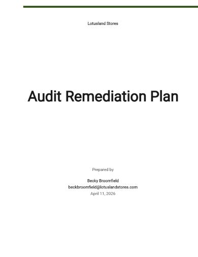 audit remediation plan template
