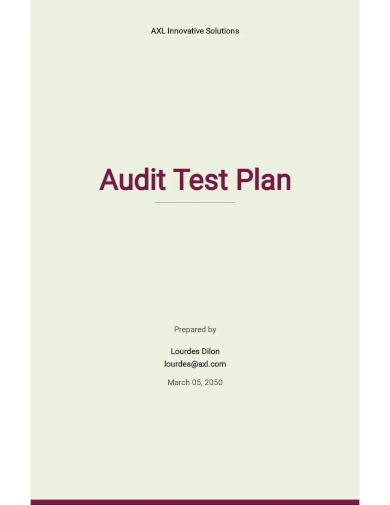 audit test plan template