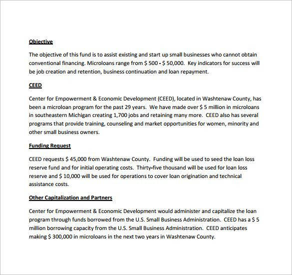 business plan example for loan