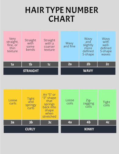 hair type number chart