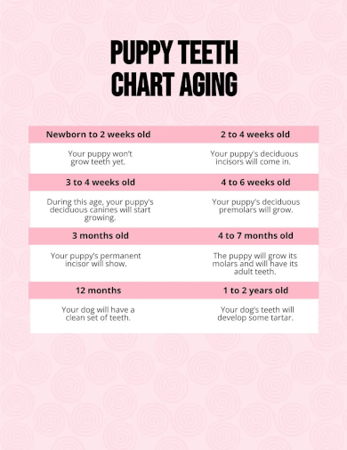 puppy teeth chart aging template