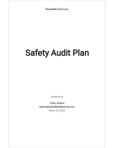 safety audit plan template