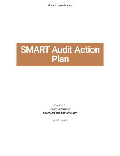 smart audit action plan template