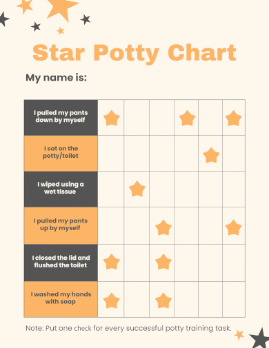 star potty chart
