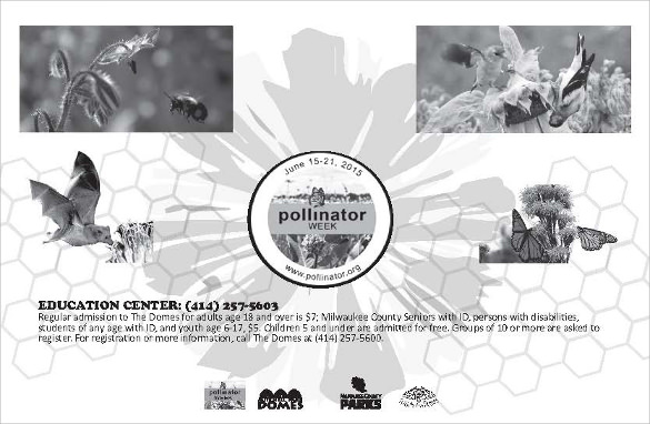 FREE 5 Half Page Flyer Templates In PDF PSD EPS
