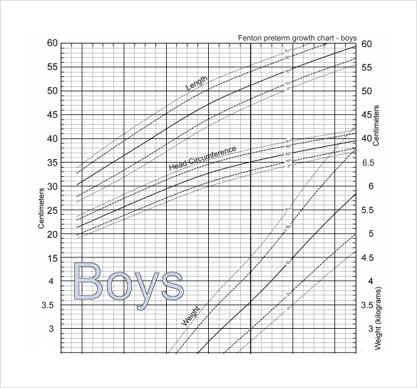bpys height weight chart