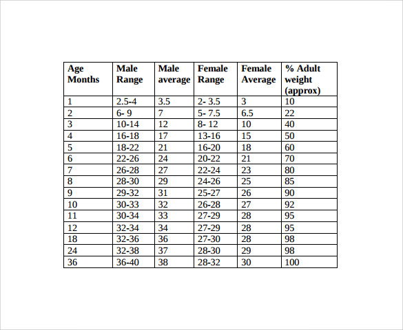 FREE 7+ Sample Height Weight Chart Templates in PDF MS Word