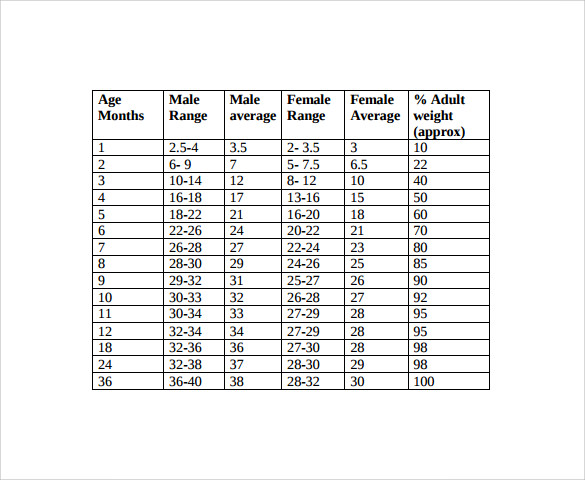 Model Height Weight Chart