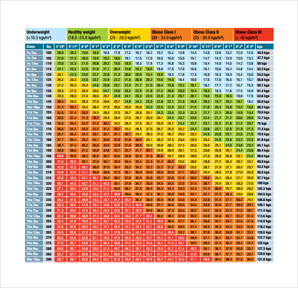 9-sample-bmi-chart-templates-to-download-sample-templates