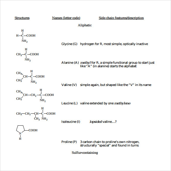 amino acid chart example