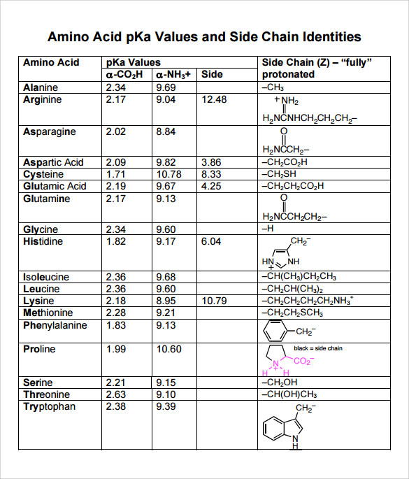 downloadable amino acid chart