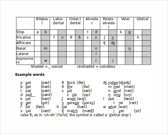 FREE 5 Sample Phonetic Alphabet Chart Templates In PDF MS Word