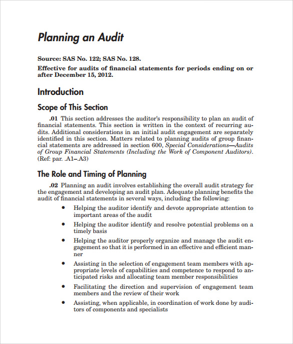 downloadable audit plan template