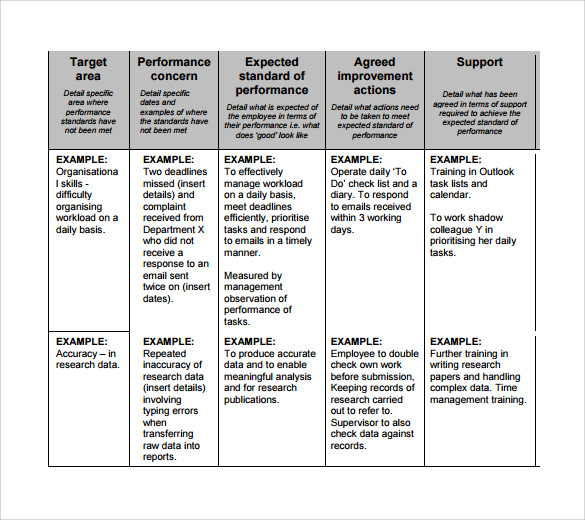 FREE 13+ Sample Improvement Plan Templates in MS Word | PDF