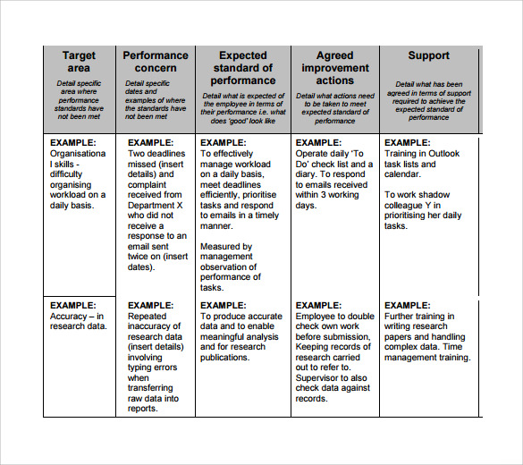 FREE 13 Sample Improvement Plan Templates In MS Word PDF