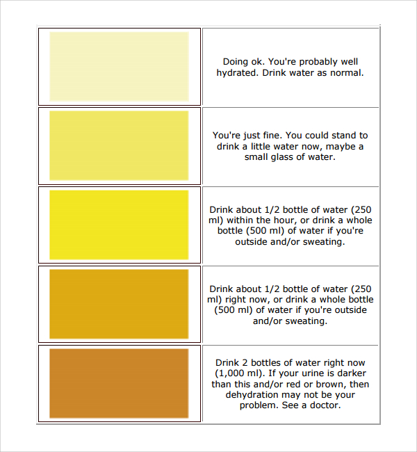 urine color chart template free in pdf