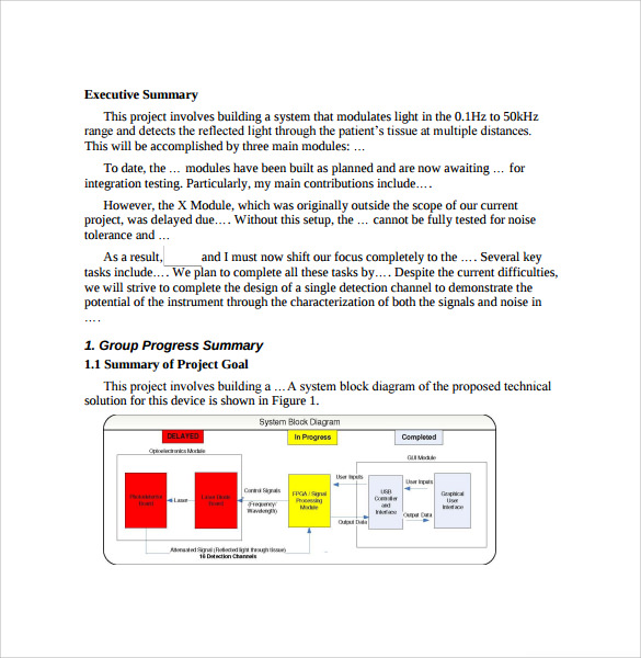 executive summary report