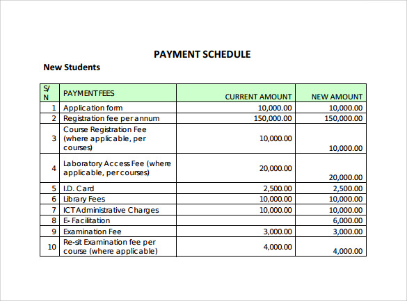 FREE 24+ Sample Payment Schedules in PDF | MS Word