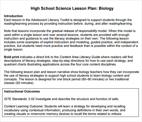 9+ Sample High School Lesson Plans | Sample Templates