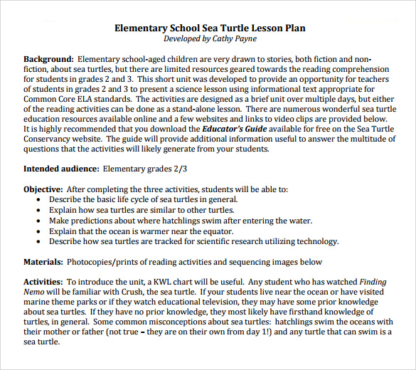 FREE 9 Sample Elementary Lesson Plan Templates In PDF