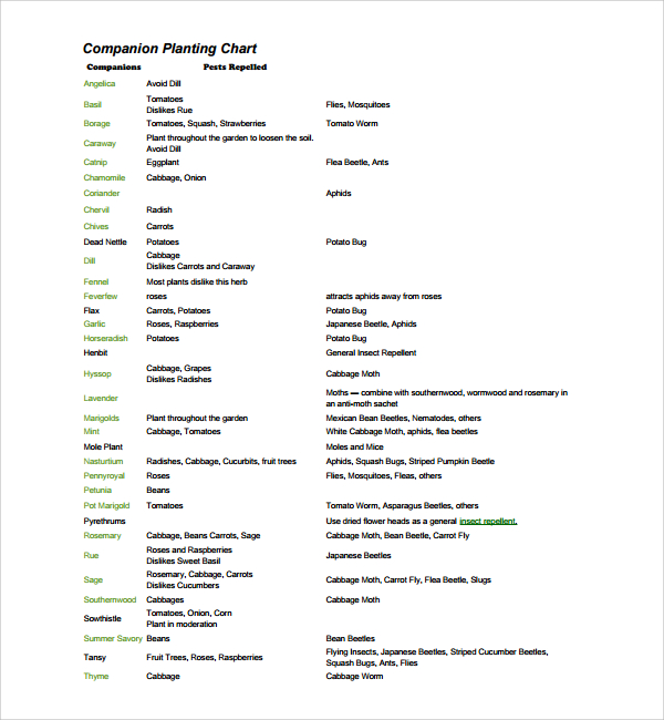 companion planting chart template free download1