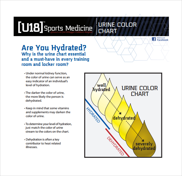 urine color chart sample download1