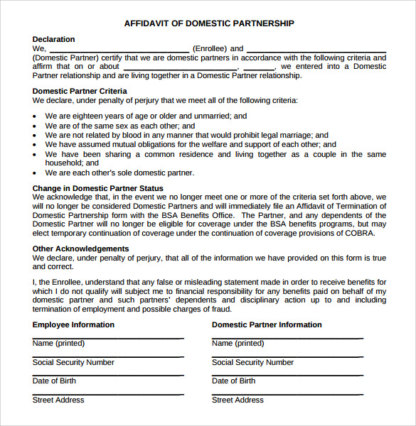 affidavit of domestic partnership agreement