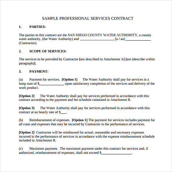 basic professional service contract template