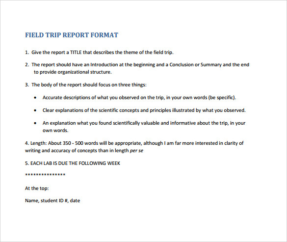 trip report template pdf format